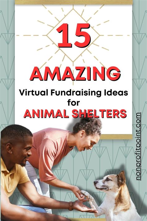 37 Best Fundraising Ideas for Animal Shelter .